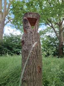 De houtsculpturen van Ben Veentjer zijn te koop