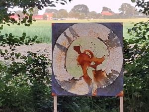 Wow, dat was mooi!